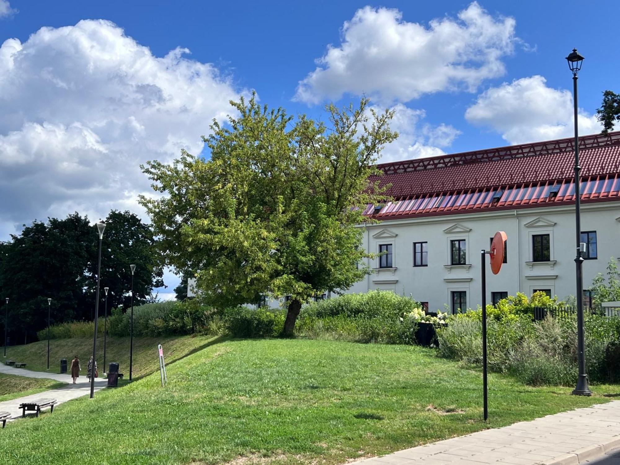 Vilnius Apartments & Suites - Old Town Екстер'єр фото